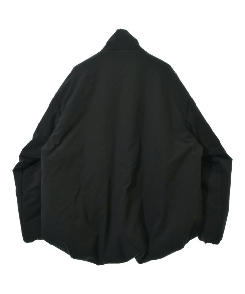 TAIGALIONA（タイガリオナ）ダウンジャケット/ダウンベスト 黒 サイズ:L メンズ/2200654150047