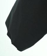 TAIGALIONA（タイガリオナ）ダウンジャケット/ダウンベスト 黒 サイズ:L メンズ/2200654150047