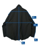 TAIGALIONA（タイガリオナ）ダウンジャケット/ダウンベスト 黒 サイズ:L メンズ/2200654150047