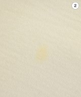 willfully（ウィルフリー）ワンピース 白 サイズ:F/F レディース/2200613594042