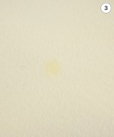 willfully（ウィルフリー）ワンピース 白 サイズ:F/F レディース/2200613594042