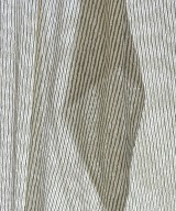 CHIGNON（シニヨン）Tシャツ・カットソー 白 サイズ:F レディース/2200630428085