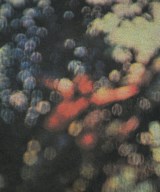 BLUESCENTRIC（ブルースセントリック）Tシャツ・カットソー 黒 サイズ:M レディース/2200614608106