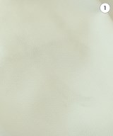 WHITE（ホワイト）ブラウス 白 サイズ:38(M位) レディース/2200646118031