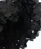 bibiy.（ビビィ）ブラウス 黒 サイズ:F レディース/2200649057450