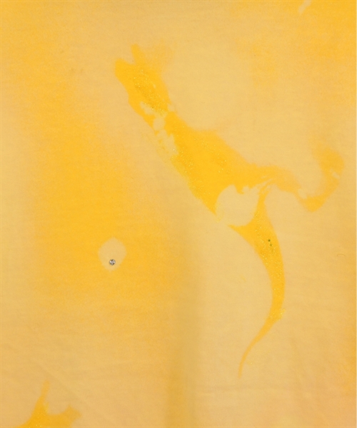 Dinoworks（ディノワークス）Tシャツ・カットソー 黄 サイズ:-(L位) メンズ/2200461362121