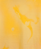 Dinoworks（ディノワークス）Tシャツ・カットソー 黄 サイズ:-(L位) メンズ/2200461362121