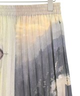 ARMANDO TAKEDA（アルマンドタケダ）ロング・マキシ丈スカート グレー サイズ:S レディース/2200652972078