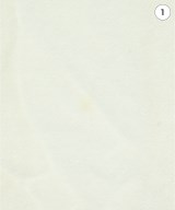 KURASHI & Trips PUBLISHING（クラシアンドトリップスパブリッシング）Tシャツ・カットソー 白 サイズ:M レディース/2200680919038