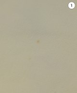 Madhappy（マッドハッピー）パーカー 白 サイズ:L メンズ/2200651643061