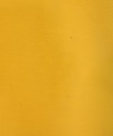 CHAPS RALPH LAUREN（チャップスラルフローレン）ポロシャツ 黄 サイズ:M メンズ/2200619311094