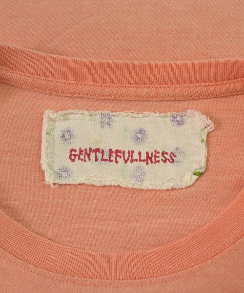 GENTLE FULLNESS（ジェントルフルネス）Tシャツ・カットソー オレンジ サイズ:XL メンズ/2200661253052