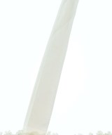 crinkle crinkle crinkle（クリンクルクリンクルクリンクル）トートバッグ 白 サイズ:- レディース/2200729768016