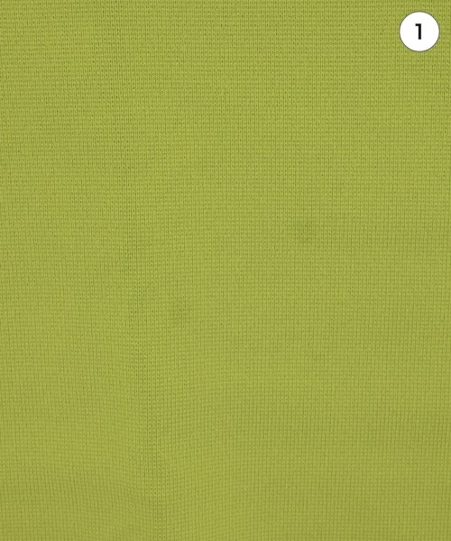 ESSENCEOFLUXURY（エッセンスオブラグジュアリー）ロング・マキシ丈スカート 緑 サイズ:38(M位) レディース/2200613858069