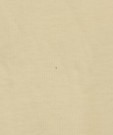 Jack Miller（ジャックミラー）スウェット 白 サイズ:-(XL位) メンズ/2200620340472