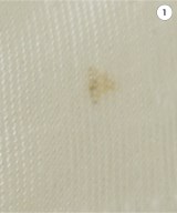 Tnewties（トゥエンティーズ）カジュアルシャツ 白 サイズ:S レディース/2200645951431