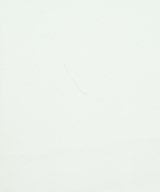 conte（コンテ）ブラウス 白 サイズ:F レディース/2200676123036