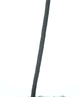 LB.04（エルビーゼロヨン）ショルダーバッグ 黒 サイズ:- レディース/2200653960067