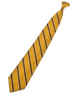 Polo Ralph Lauren ネクタイ