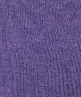 Polo Ralph Lauren（ポロラルフローレン）ベスト 紫 サイズ:3XB(XXXL位) メンズ/2200709221371