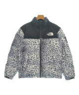 THE NORTH FACE（ザノースフェイス）ダウンジャケット/ダウンベスト グレー サイズ:S メンズ/2200659066046