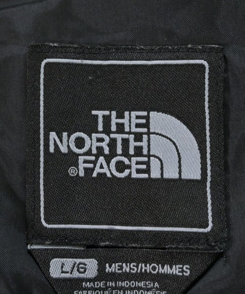 THE NORTH FACE（ザノースフェイス）パーカー その他（柄物・カラフル） サイズ:L メンズ/2200653971896