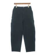 THE NORTH FACE PURPLE LABEL パンツ（その他）