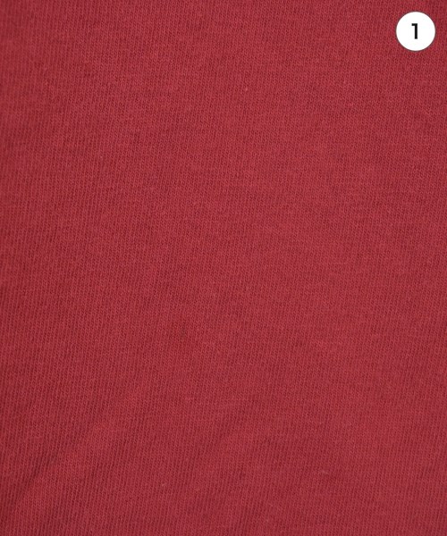 THE NORTH FACE PURPLE LABEL（ザノースフェイスパープルレーベル）Tシャツ・カットソー 赤 サイズ:XL メンズ/2200734108029