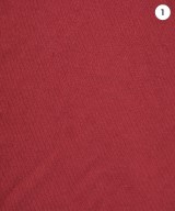 THE NORTH FACE PURPLE LABEL（ザノースフェイスパープルレーベル）Tシャツ・カットソー 赤 サイズ:XL メンズ/2200734108029