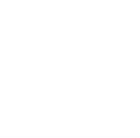 stylesnip