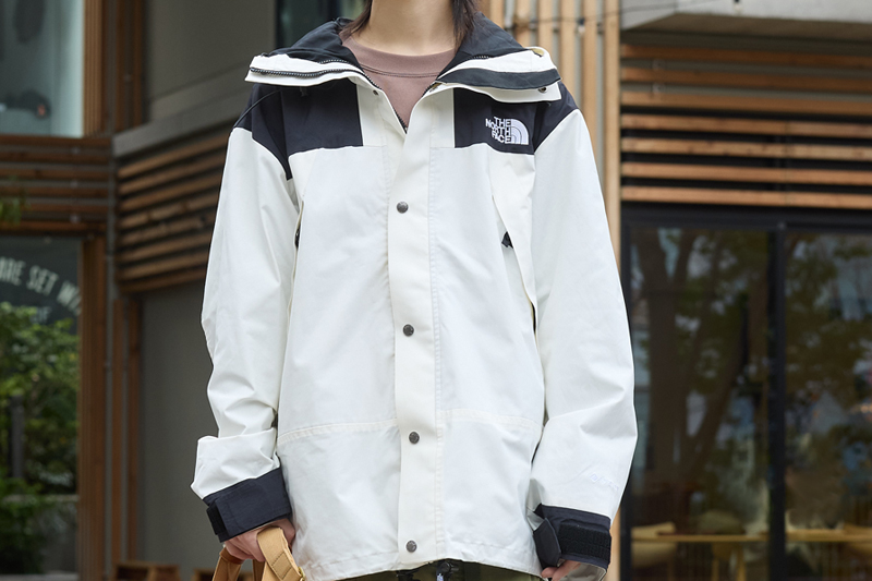 ブルゾン ザノースフェイス